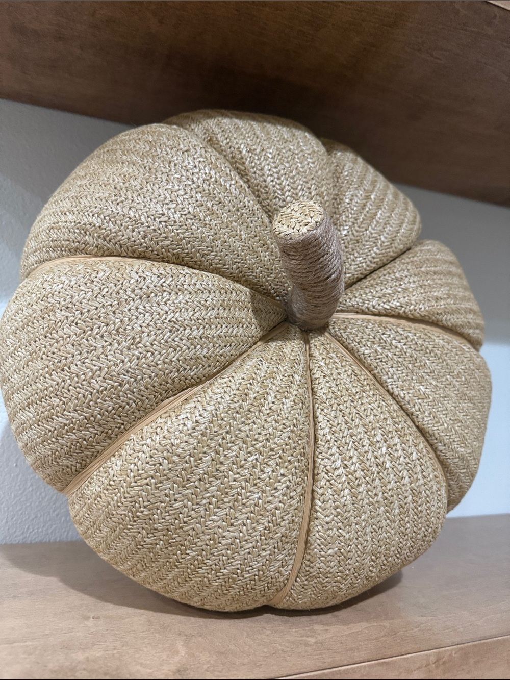 Woven Decorative Pumpkin Accent - Neutral Beige from pottery barn